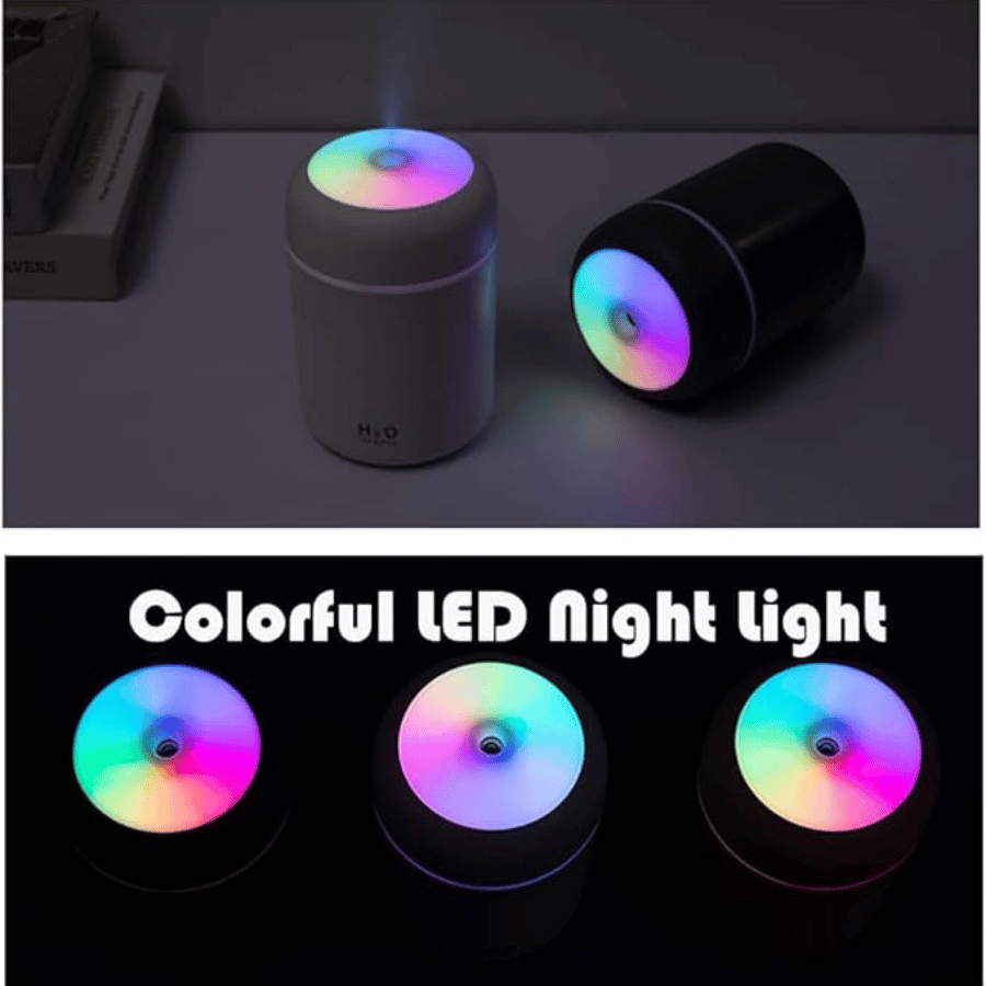 H2O Humidifier