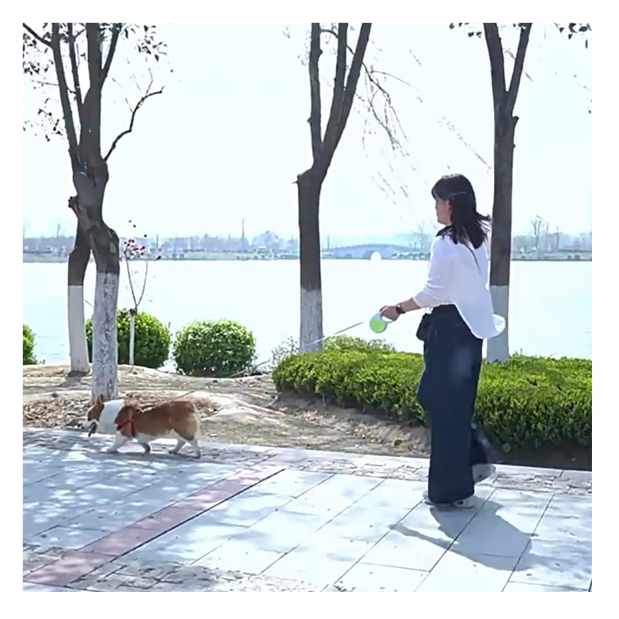 Retractable Pet Leash