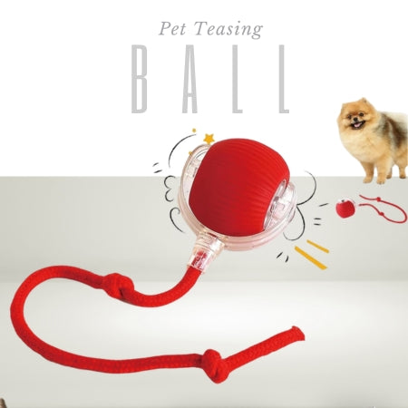 Pet Teasing Ball (Pack of 2 )