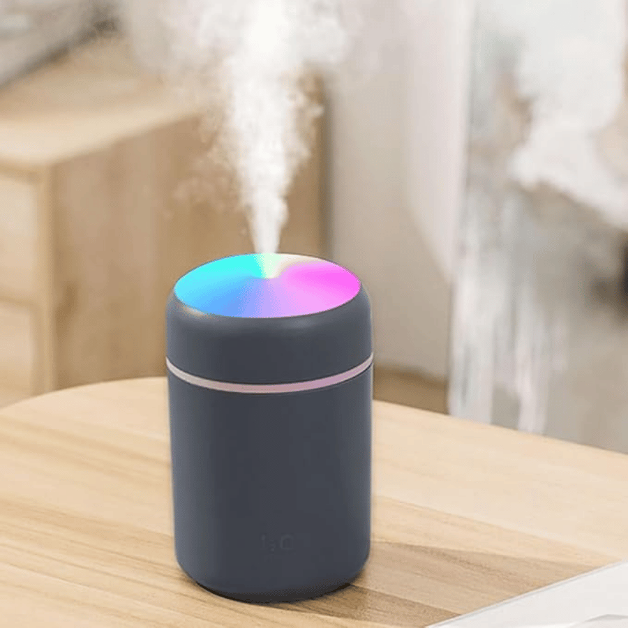 H2O Humidifier
