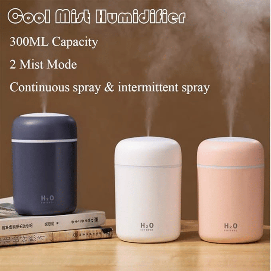 H2O Humidifier