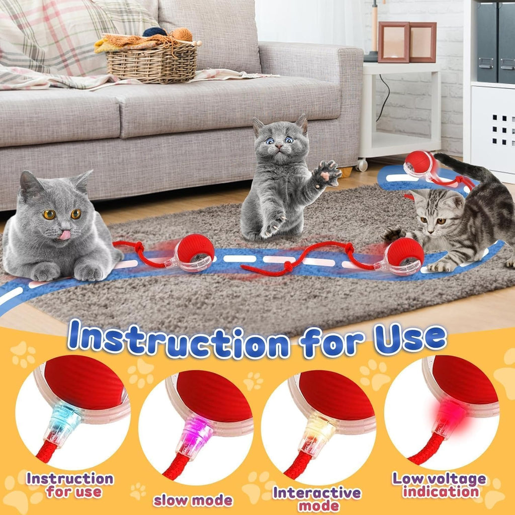 Pet Teasing Ball (Pack of 2 )