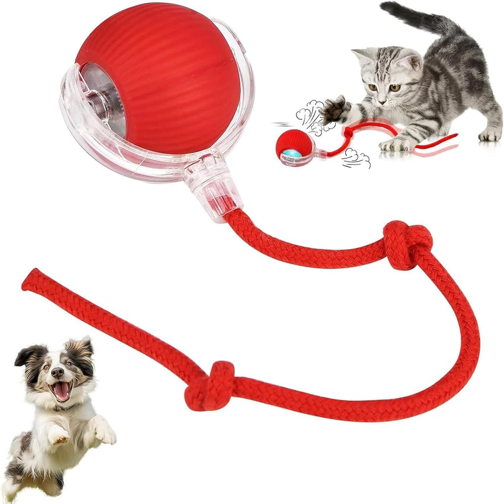 Pet Teasing Ball (Pack of 2 )