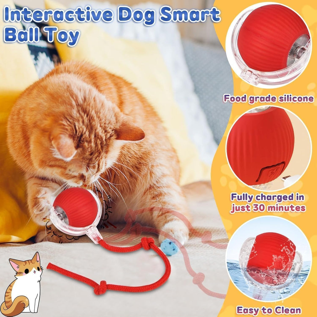 Pet Teasing Ball (Pack of 2 )