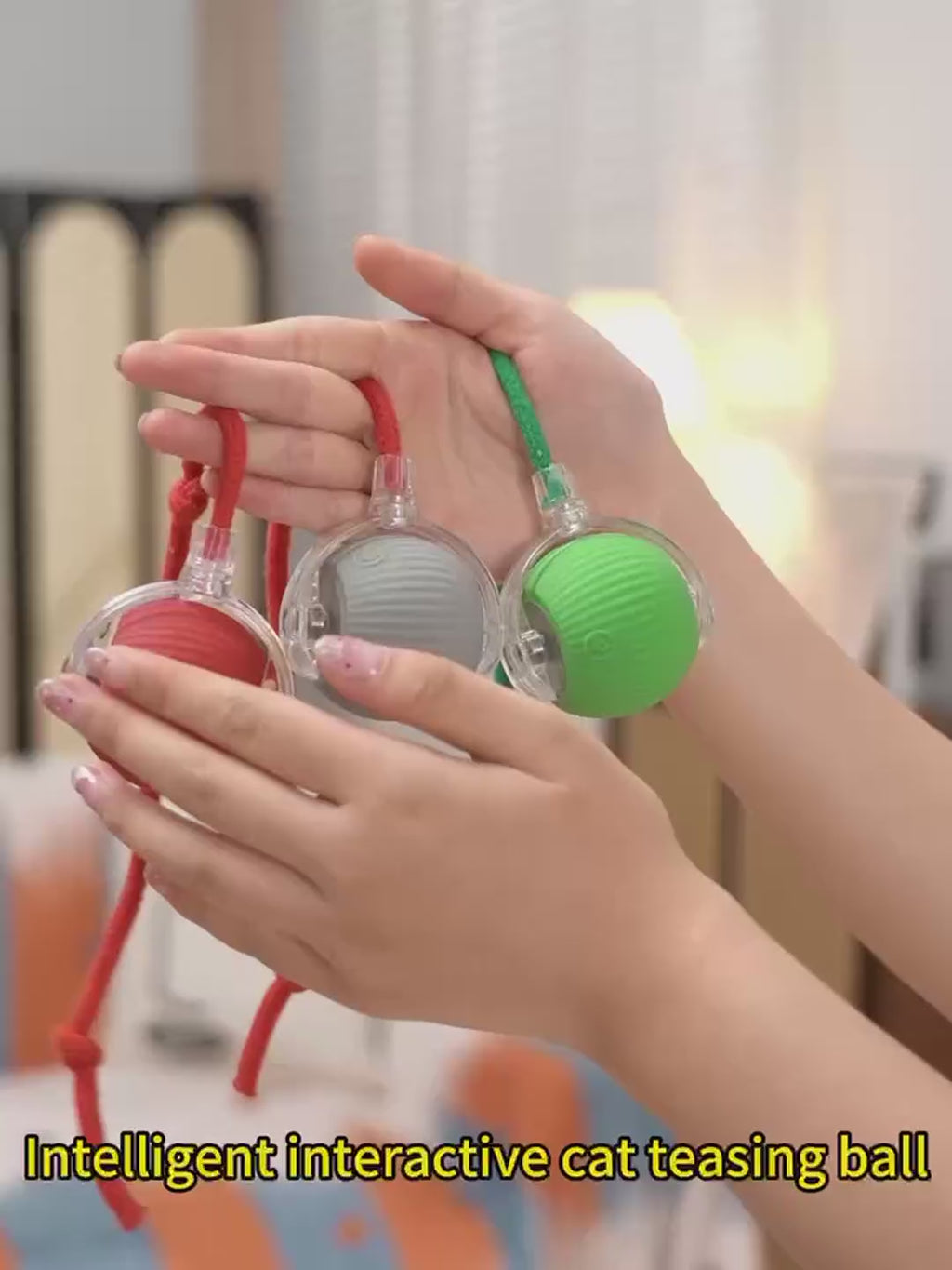 Pet Teasing Ball (Pack of 2 )