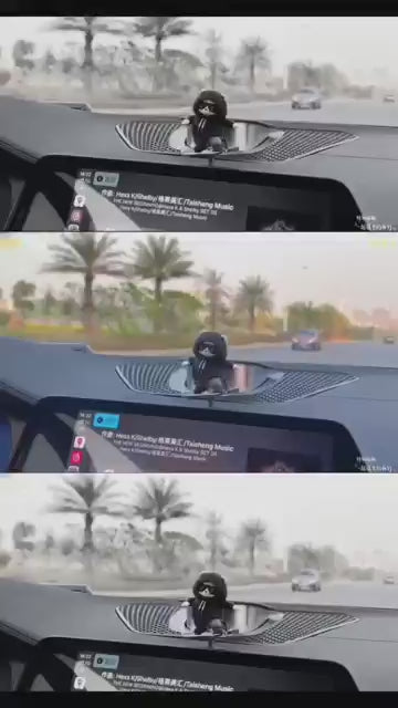 Car Dashboard Sliding Panda